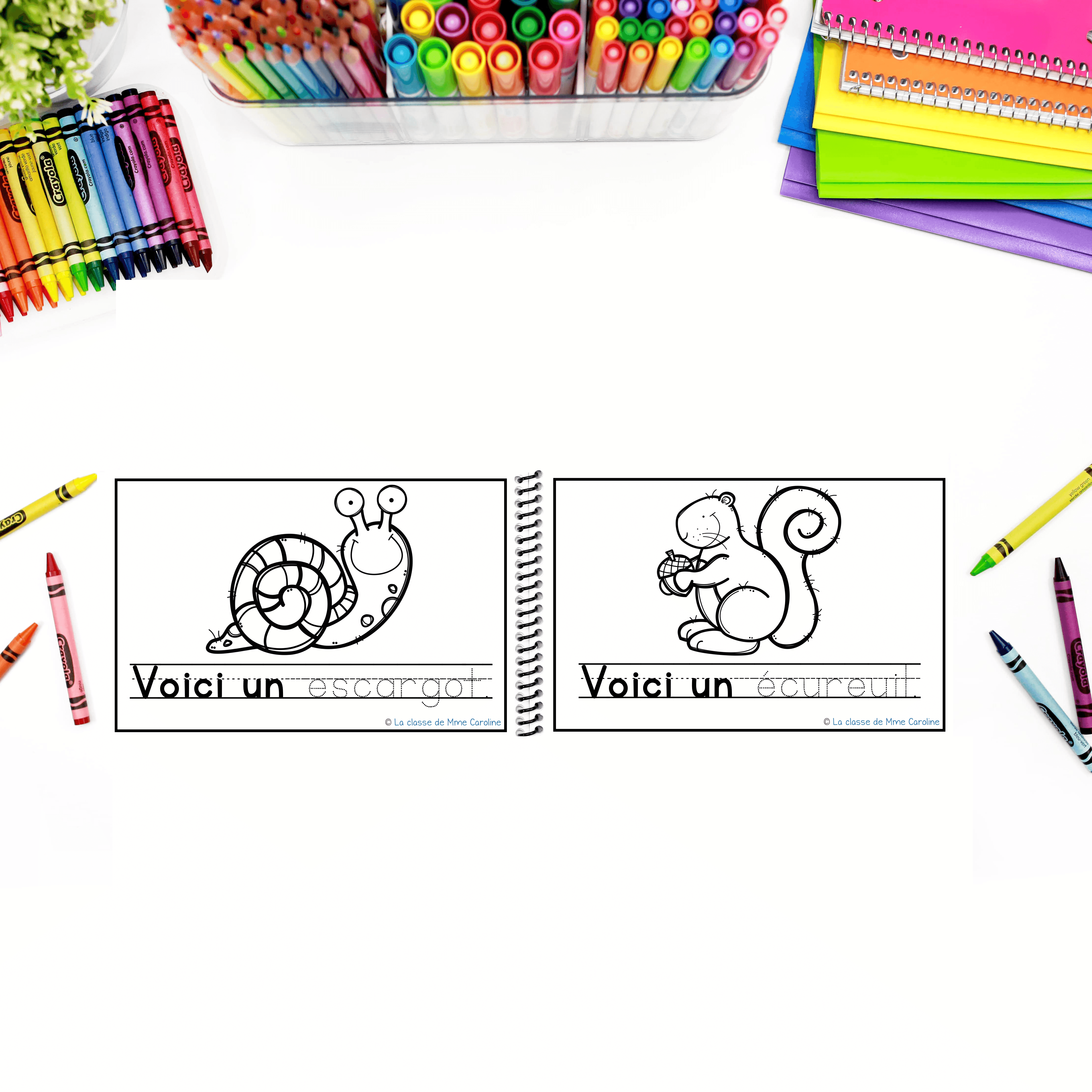 French Alphabet Readers Books for Emergent Readers: E - Image 4