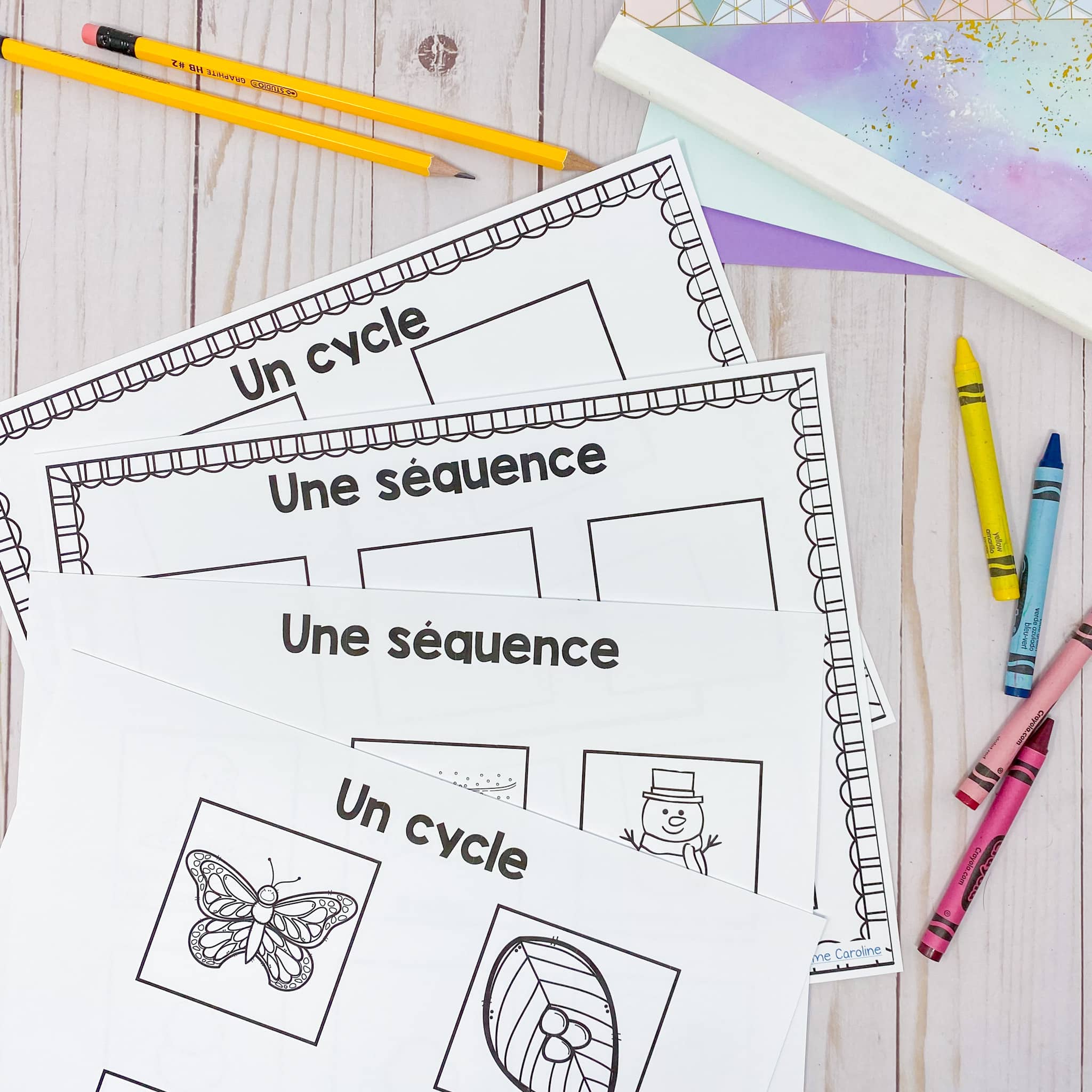 Grade 1 Daily and Seasonal Changes Science Unit in FRENCH - Image 2