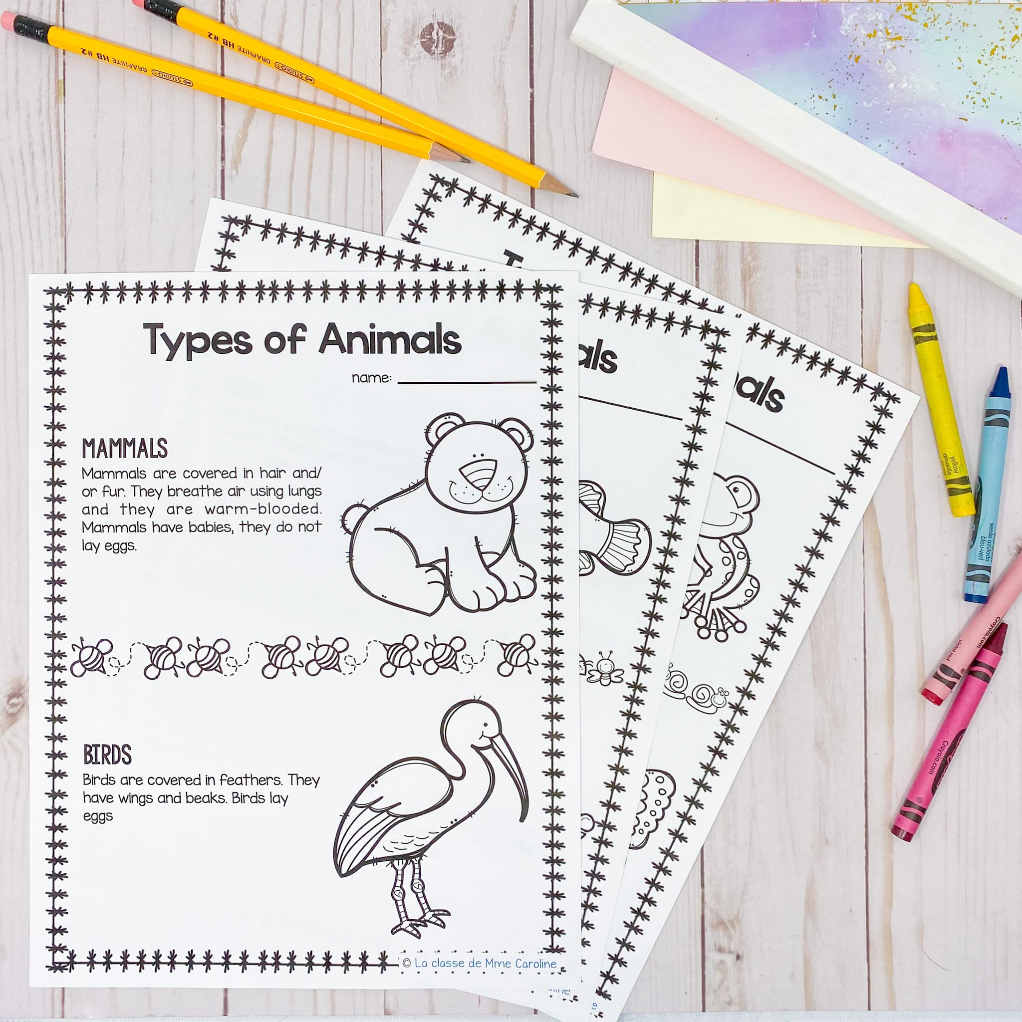 Grade 1 Needs and Characteristics of Living Things Science Unit in ENGLISH - Image 3