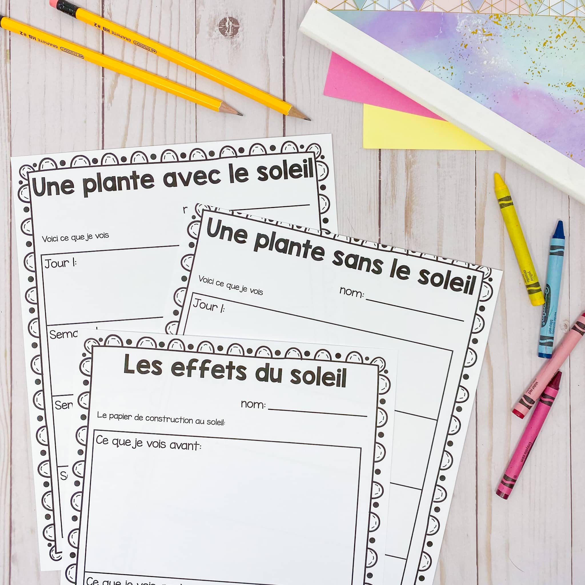 Grade 1 Energy in our Lives Science Unit in FRENCH - Image 4