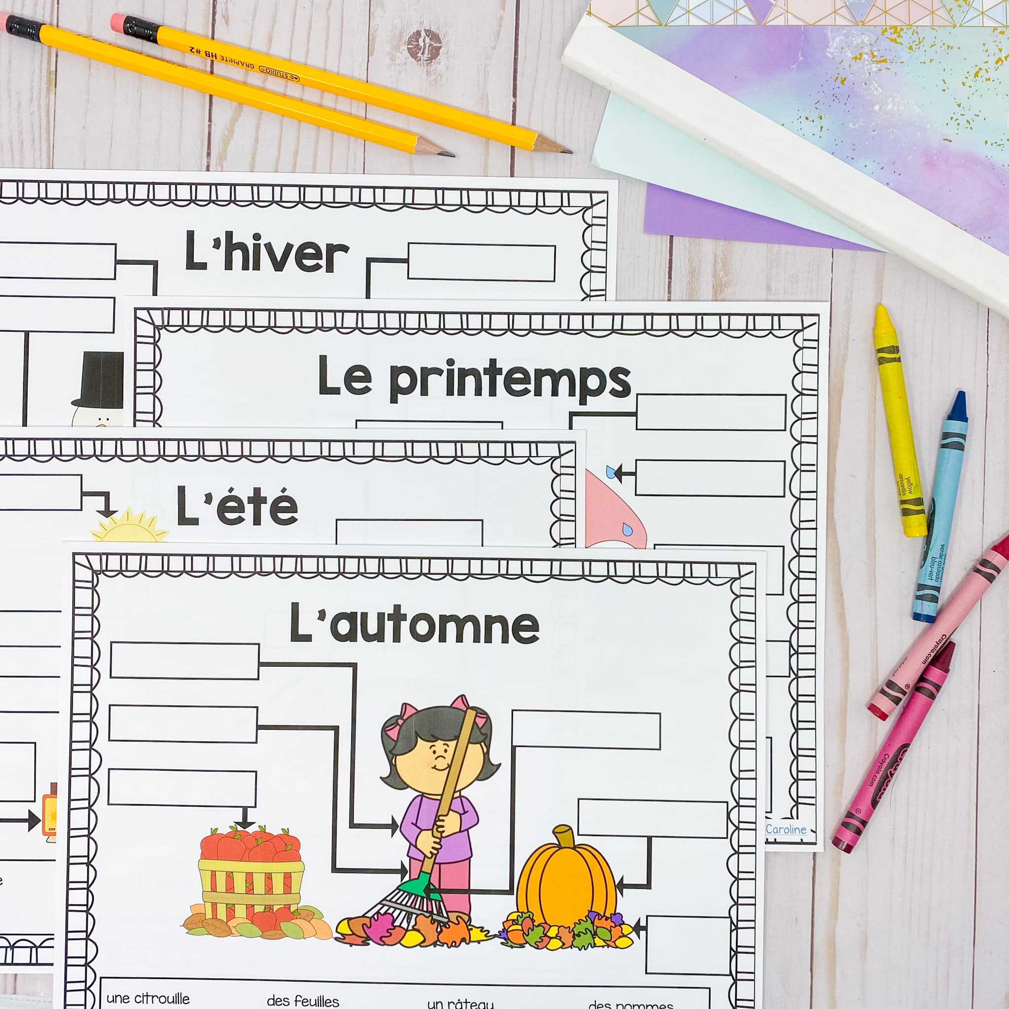 Grade 1 Daily and Seasonal Changes Science Unit in FRENCH - Image 3