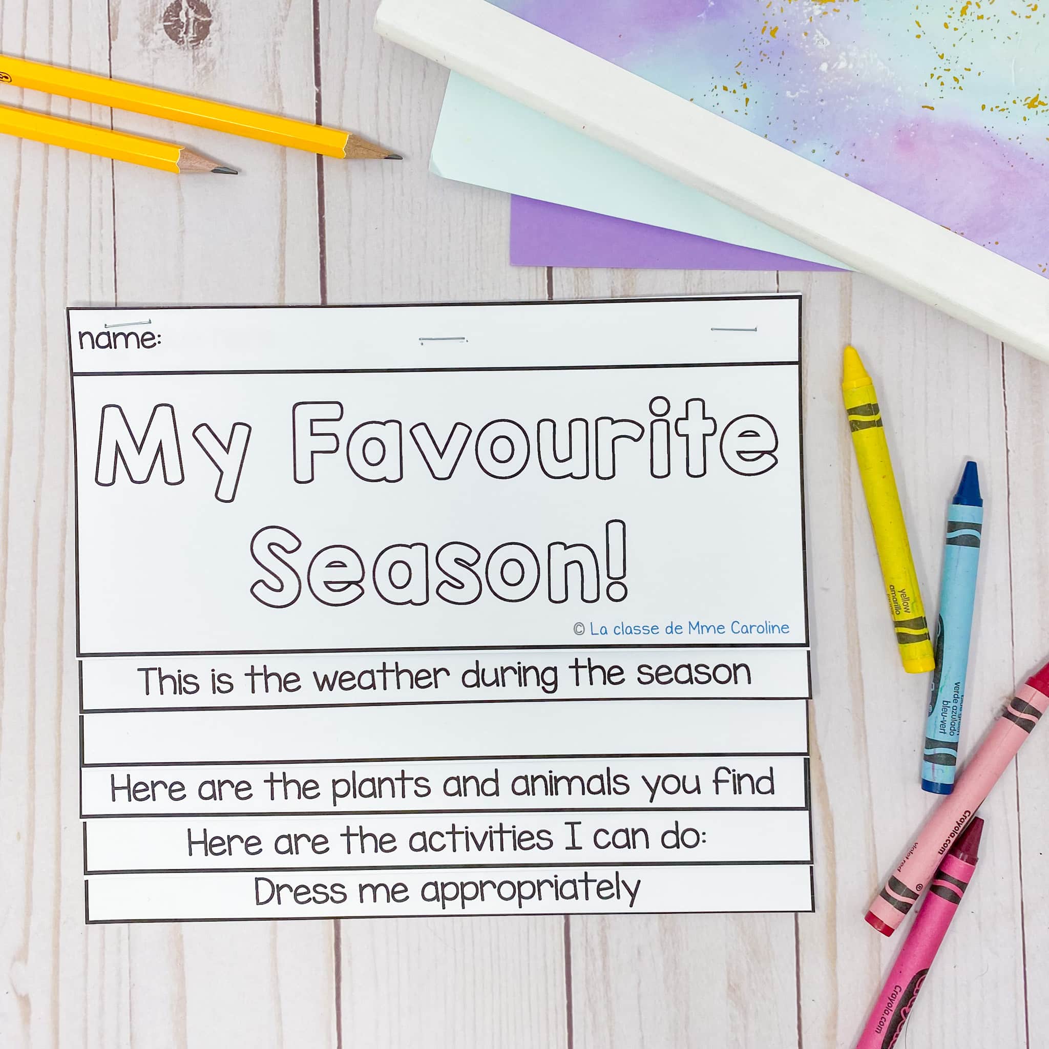 Grade 1 Daily and Seasonal Changes Science Unit in ENGLISH - Image 4