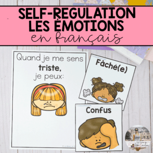 French Feelings and Emotions: Posters and Self Regulation "I can" statements
