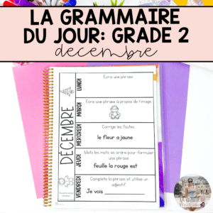 Grade 2 French Grammar Activities Interactive Notebook - December
