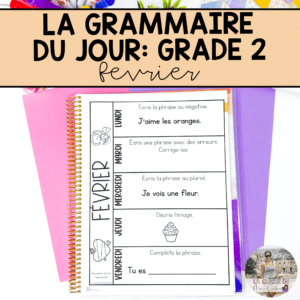 Grade 2 French Grammar Activities Interactive Notebook - February