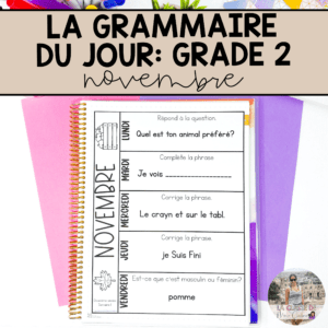Grade 2 French Grammar Activities Interactive Notebook - November