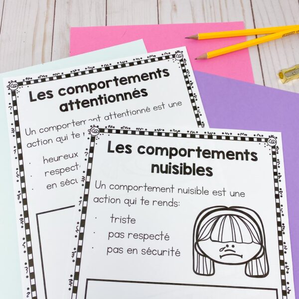 Grade 1 Health : Personal Safety and Injury Prevention Unit | French ...