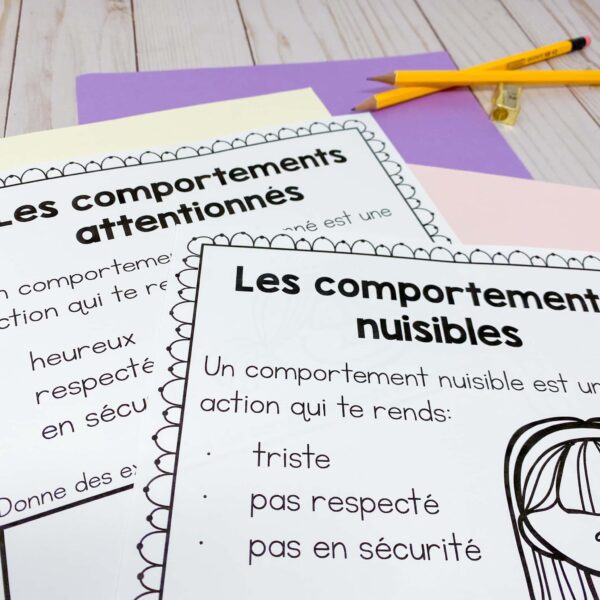 Grade 2 Health : Personal Safety and Injury Prevention Unit | French ...