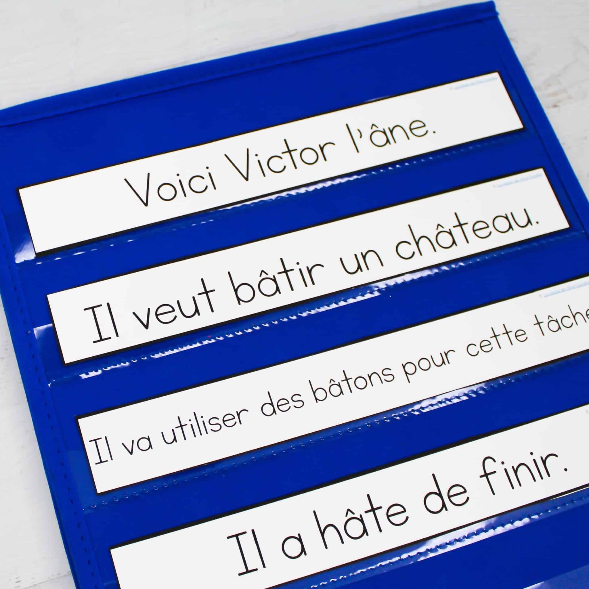 French Phonics Pocket Chart Stories | Mes histoires des sons | MEGA BUNDLE - Image 4