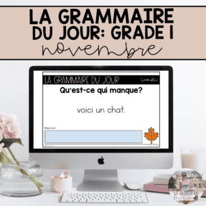 Grade 1 French Grammar Activities for Google Slides - November