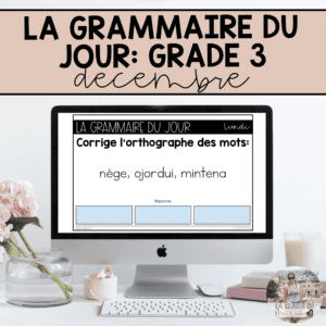 Grade 3: French Grammar Activities | Google Slides | December