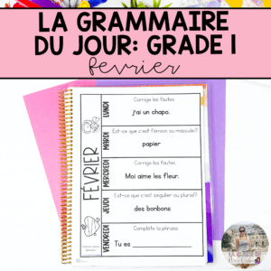 Grade 1 French Grammar Activities Interactive Notebook - February