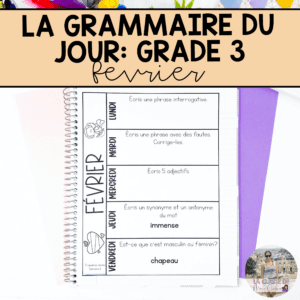 Grade 3 French Grammar Activities Interactive Notebook - February