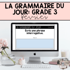 Grade 3: French Grammar Activities | Google Slides | February