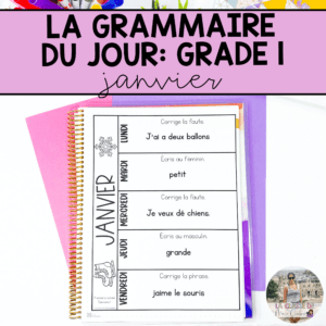 Grade 1 French Grammar Activities Interactive Notebook - January
