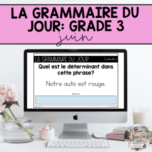 Grade 3 French Grammar Activities for Google Slides - June