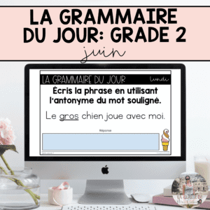 Grade 2: French Grammar Activities for Google Slides | June