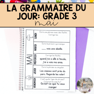 Grade 3 French Grammar Activities Interactive Notebook - May