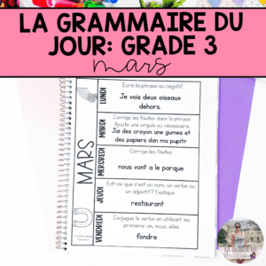 Grade 3 French Grammar Activities Interactive Notebook - March