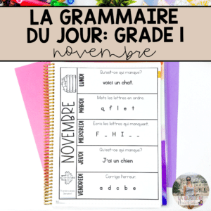 Grade 1 French Grammar Activities Interactive Notebook - November
