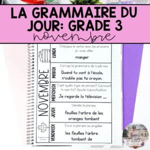 Grade 3 French Grammar Activities Interactive Notebook - November