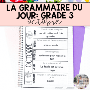 Grade 3 French Grammar Activities Interactive Notebook - October