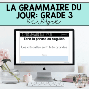 Grade 3: French Grammar Activities | Google Slides | October