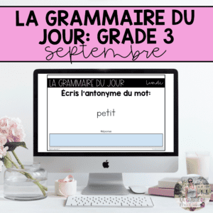Grade 3: French Grammar Activities | Google Slides | September