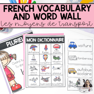 French Transportation Vocabulary - French Word Wall Cards