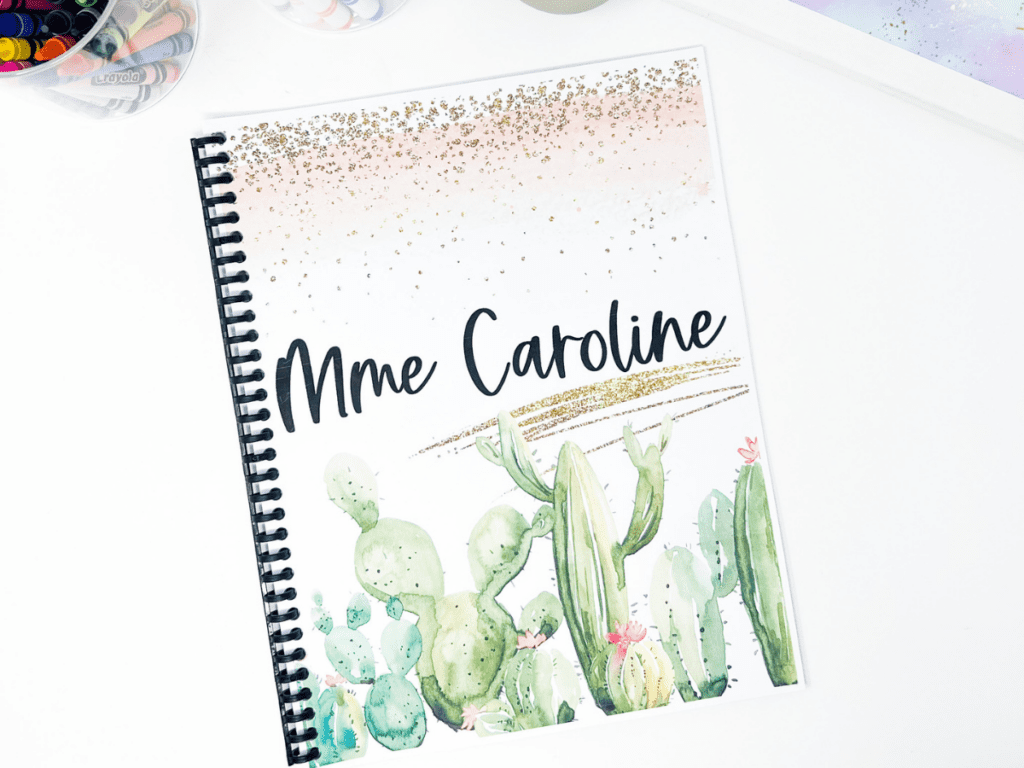 printable-teacher-planner-lesson-plans-for-primary-teachers-teacher-binder