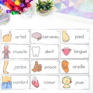 Free french body parts vocabulary cards for your word wall and personal dictionaries