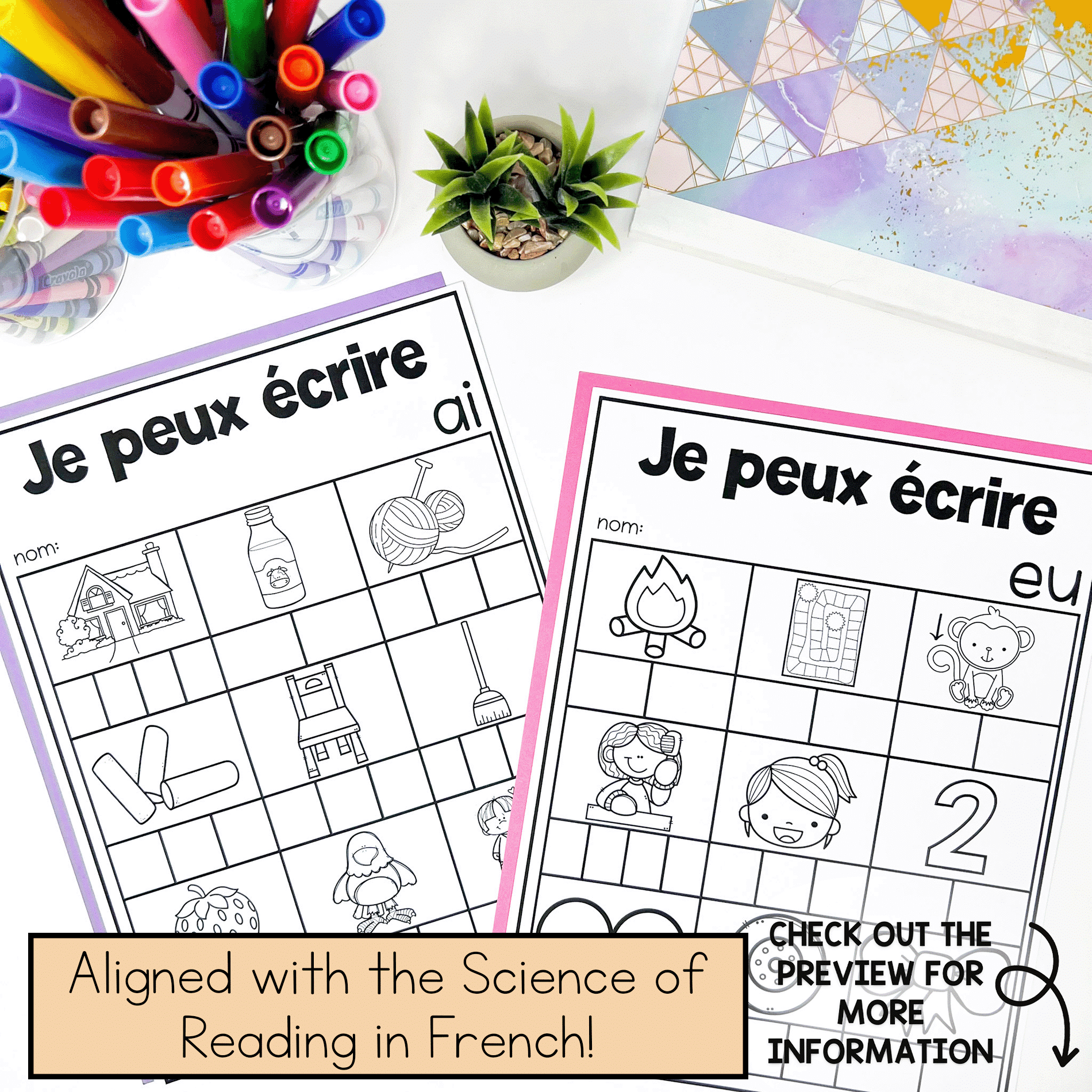 French spelling practice that is based on the Science of Reading. Teach your students how to do French orthographic mapping.
