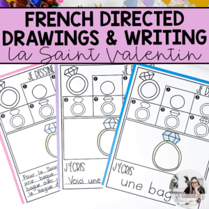 A pack of French directed drawings with a writing activity are perfect for your French literacy block or as an early finisher's activity