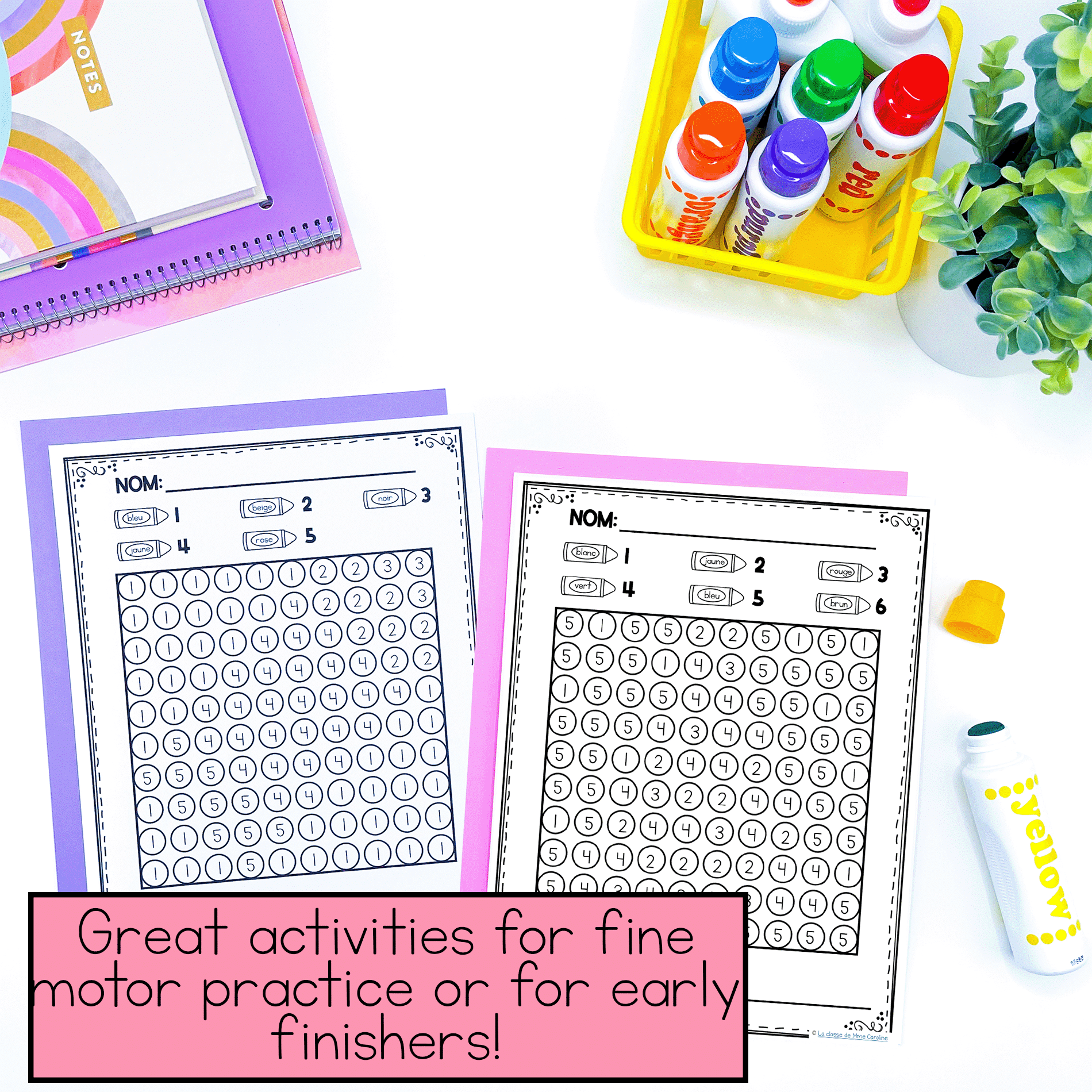 French mystery images colour by code activity