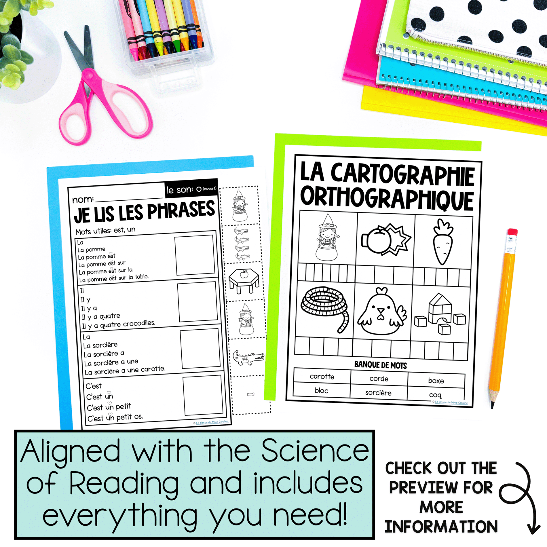 French Phonics Activities - Decoding Phonological & Phonemic Awareness: o (ouvert) - Image 3