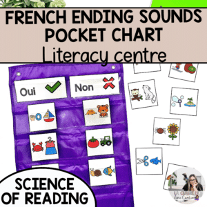 French ending sounds pocket chart sorting centre