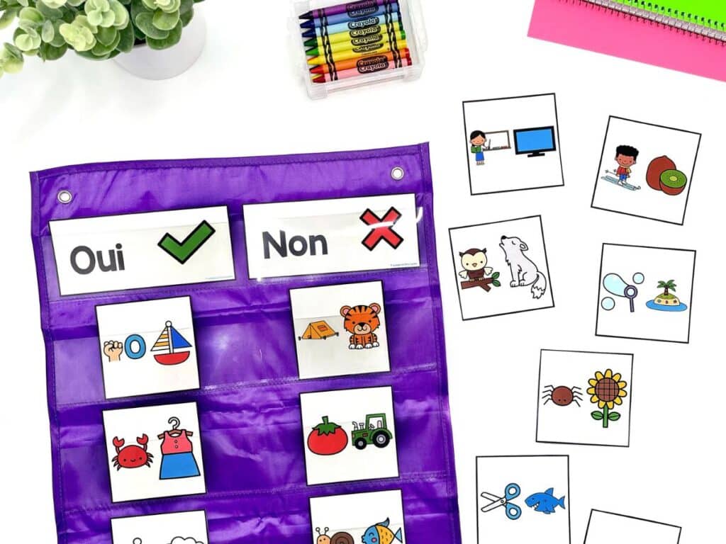 French ending sounds activity that you can do in centres, as a whole class activity, or in small groups